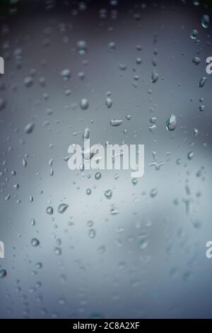Detail of raindrops on a window Stock Photo