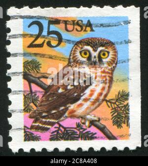 UNITED STATES - CIRCA 1988: stamp printed by United States of America, shows owl, circa 1988 Stock Photo