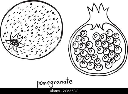 Pomegranate coloring page. Graphic vector black and white art for coloring books for adults. Tropical and exotic fruit line illustration. Stock Vector