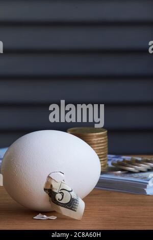 Five dollar bill hatching from egg and a stack of hundred dollar bills and coins on natural background, selective focus Stock Photo