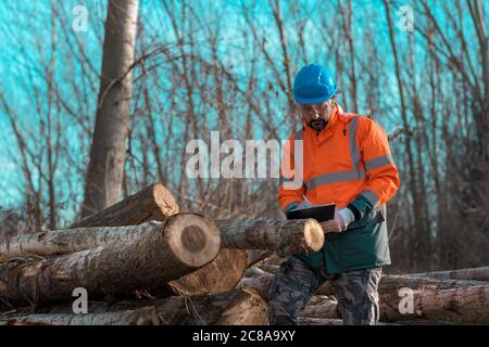 Forestry technician writing logging process notes on clipboard notepad in forest leaning on to cut down tree trunks Stock Photo