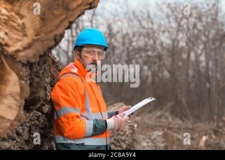 Forestry technician writing notes on clipboard notepad paper in forest during logging deforestation process Stock Photo