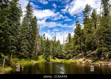 The very back of Woods Canyon Lake, on the Mogollon Rim, in Northern Arizona on a partly cloudy morning during the summer Monsoon season. Stock Photo