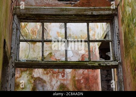 Derelict interior of Thornton Fever Hospital in Fife, Scotland showing broken window, mould on walls and peeling paint Stock Photo