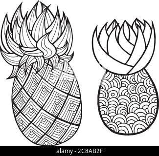 Pineapple and ananas coloring page. Graphic vector black and white art for coloring books for adults. Tropical and exotic fruit line illustration. Stock Vector