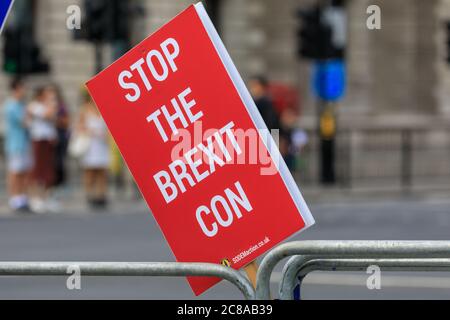 Westminster, London, UK. 22nd July, 2020. Westminster 'Stop-Brexit Man' Steven Bray and fellow pro European activists are once again back in front of Parliament, this time also with a Russia theme to comment on the government's response to the release of the Russia report yesterday. Credit: Imageplotter/Alamy Live News Stock Photo