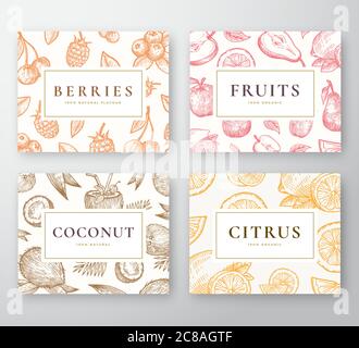 Hand Drawn Coconut, Citrus, Berries and fruits Cards Set. Abstract Vector Sketch Backgrounds Collection with Classy Retro Typography. Coconuts Stock Vector