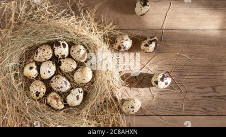 Several quail eggs in a decorative nest made of straw on a wooden table. copy space, horizontal banner, flatlay Stock Photo