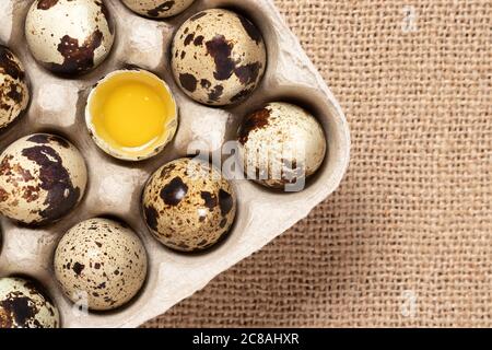 Quail eggs in cardboard packaging close-up, copy space, flatlay Stock Photo