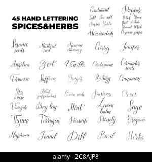 Vector calligraphy illustration isolated on white background. Stock Vector