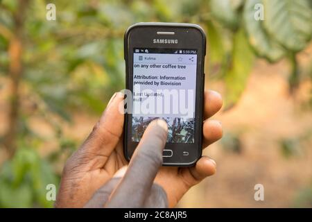 Smart phones with the Kulima ("to farm") application help farmers increase production, diagnose crop diseases and access markets - Uganda, Africa. Stock Photo