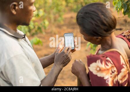 Smart phones with the Kulima ("to farm") application help farmers increase production, diagnose crop diseases and access markets - Uganda, Africa. Stock Photo
