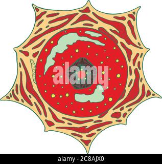 Exotic tropical flower mandala - isolated element. Vector graphic art for design, print Stock Vector