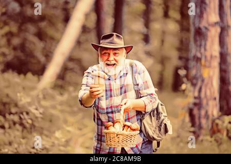 Picking mushrooms. Happy Grandfather with mushrooms in busket hunting mushroom. Mushrooming in nature. Stock Photo