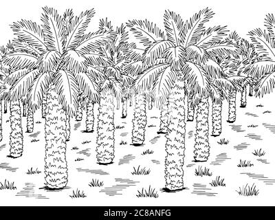 Palm grove plantation graphic black white landscape sketch illustration vector Stock Vector