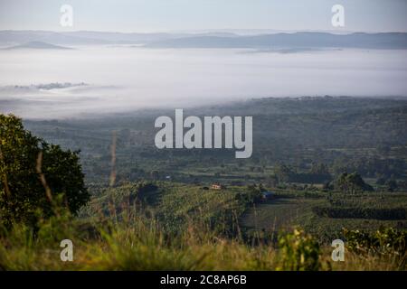 Fog envelops a valley beneath rolling hills and communities of Lyantonde District, Uganda, East Africa. Stock Photo