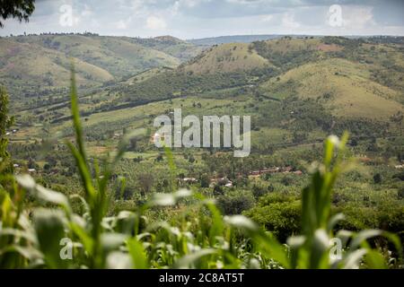 Rolling hills and communities of Lyantonde District, Uganda, East Africa. Stock Photo