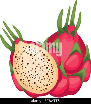 fresh delicious dragon fruit detailed style icon vector illustration design Stock Vector