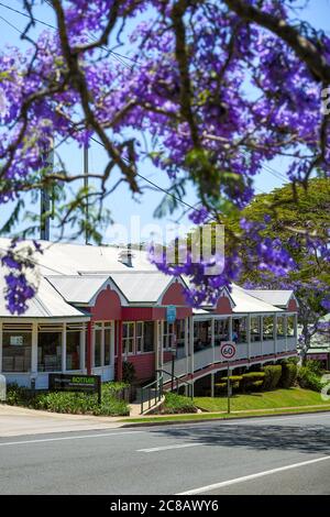 Mapleton Hotel and Jacaranda trees in flower. Stock Photo