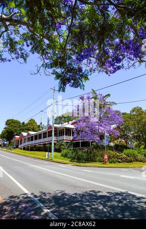 Mapleton Hotel and Jacaranda trees in flower. Stock Photo