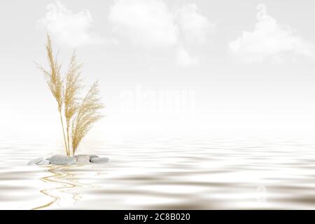 reeds reflecting on calm water against light grey sky Stock Photo