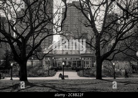 TORONTO, CANADA - 03 08 2020: Early spring sunset Allan Gardens Park view with Allan Gardens greenhouse building in front of high rise buildings on Stock Photo