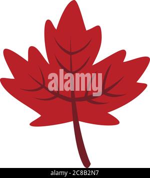 Red maple leaf icon Stock Vector