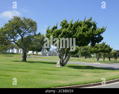 Culver City, California, USA 22nd July 2020 A general view of atmosphere of Holy Cross Cemetery on July 22, 2020 in Culver City, California, USA. Photo by Barry King/Alamy Stock Photo Stock Photo