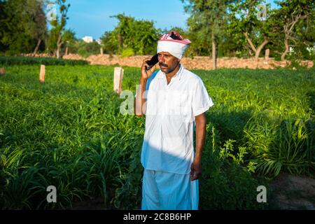 Indian farmer man talking on phone while standing in green field, agriculture and technology concept, 5g network Stock Photo