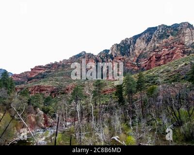 The beautiful, towering red rocks of Oak Creek Canyon, just north of Sedona, Arizona. A very popular tourist destination. Stock Photo