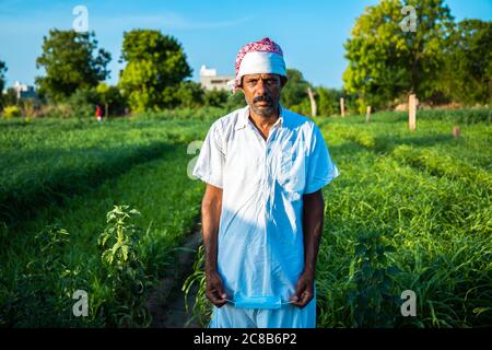 Portrait of indian farmer with serious intense look on his face standing in green agriculture field outdoor. Stock Photo