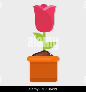 red rose on the pot isolated vector illustration in flat style Stock Vector