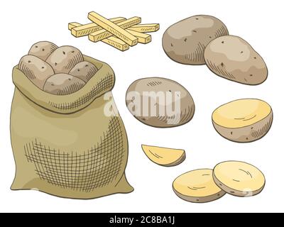 Potatoes vegetable graphic color isolated sketch illustration vector Stock Vector