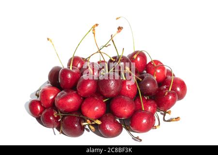 Cherries with water drops. Fresh ripe cherry isolated on white background with shadow. Stock Photo
