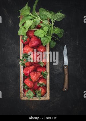 Wooden box with fresh strawberries, mint leaves and old knife on the table. Overhead shot. Stock Photo