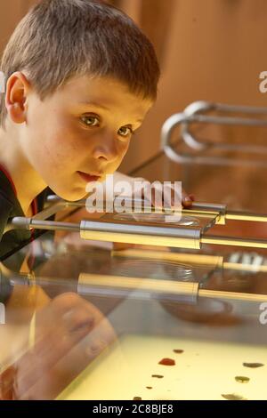 Young boy looking at artifacts while touring the Bode Museum Stock Photo