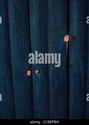 A blue painted wooden fence with knotting holes and a pink background - colour contrast - wood knotting - painted fence paneling - wooden fence Stock Photo