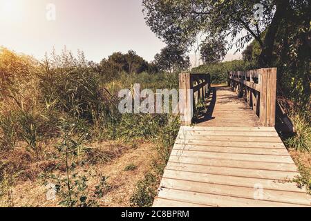 A bridge made of wood in the middle of the forest, Setubal, Portugal Stock Photo