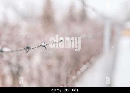 Old rusty barbed wire fence covered with snow at a military facility. The black barbed wire for enclosed areas, Black barbed wire Stock Photo