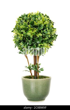 green pot with artificial plant isolated on white Stock Photo