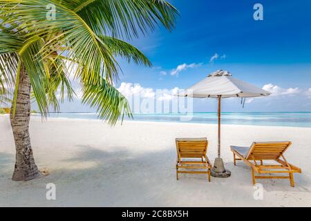 Tropical beach resort hotel background as summer landscape with lounge chairs and palm trees in sun rays calm sea for beach banner. Luxury vacation Stock Photo