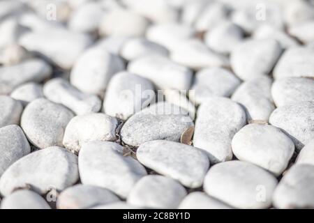 White stone background. White pebbles stone for background. Stock Photo