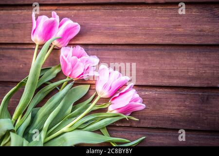 Top view of blooming tulips on wooden surface, mothers day concept. Abstract black and white process. Womens day. Pink tulips bouquet on wooden planks Stock Photo