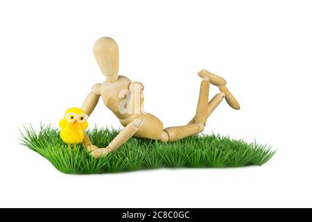 A wooden doll is lying on grass with a chicken puppet with glasses over white Stock Photo