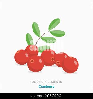Vector flat isolated icon of food supplements - cranberry Stock Vector