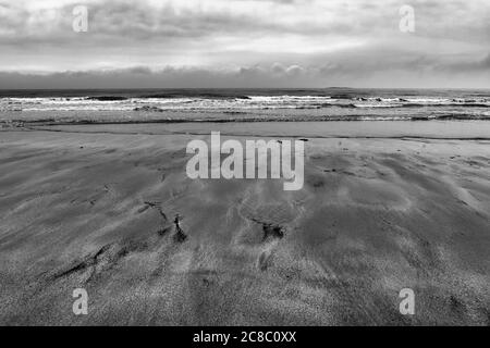 The North Sea and Inner Farne Island from Bamburgh Sands, Northumberland, England, UK at low tide, on a dull, cloudy day.  Black and white version Stock Photo