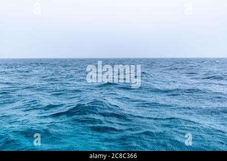 Rain on sea, small waves, ripples. Seascape with endless horizon. Clear blur ocean water, sea surface Stock Photo