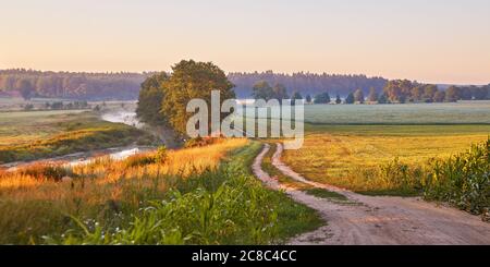 Dirt road on riverbank wild meadow in morning mist panorama. Rural summer landscape in sunrise light. Colorful calm farmland pasture scene, Belarus Stock Photo