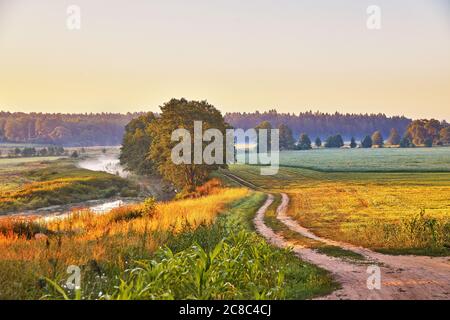 Dirt road on riverbank wild meadow in morning mist. Rural summer landscape in sunrise light. Colorful calm farmland pasture scene, Belarus Stock Photo