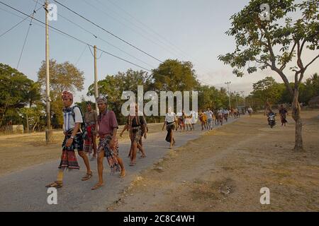 Local community of Prailiu royal village walking together to accompany Umbu Ndjurumanna, toward Sarah's local house, for a traditional Sumbanese marriage proposal. Archival photo. Reportage (2011). Stock Photo